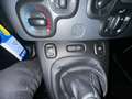 Fiat Panda Panda III 2021 4x4 0.9 t.air t. Wild 4x4 s Bianco - thumbnail 12