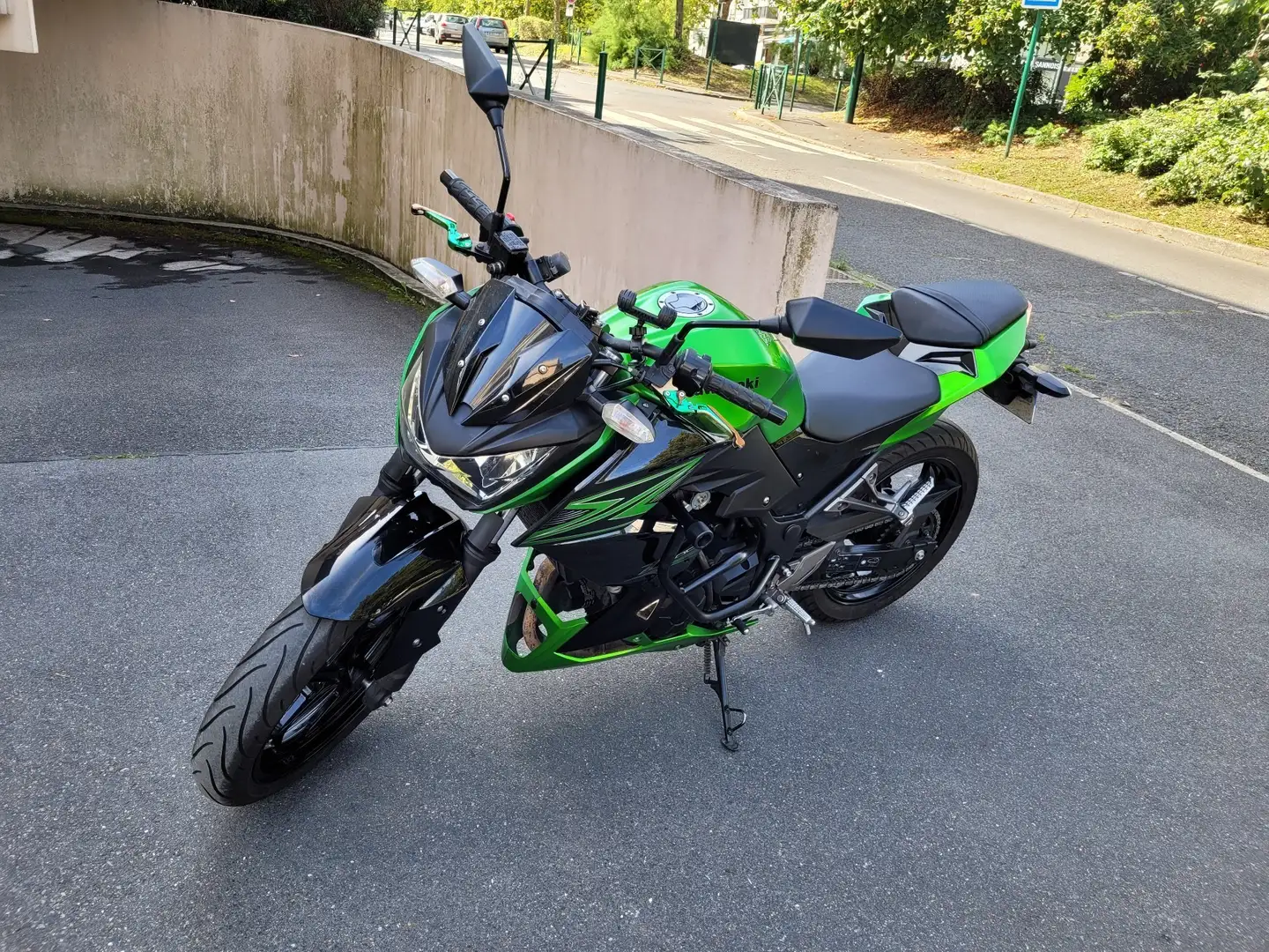 Kawasaki Z 300 Leovince Zelená - 2