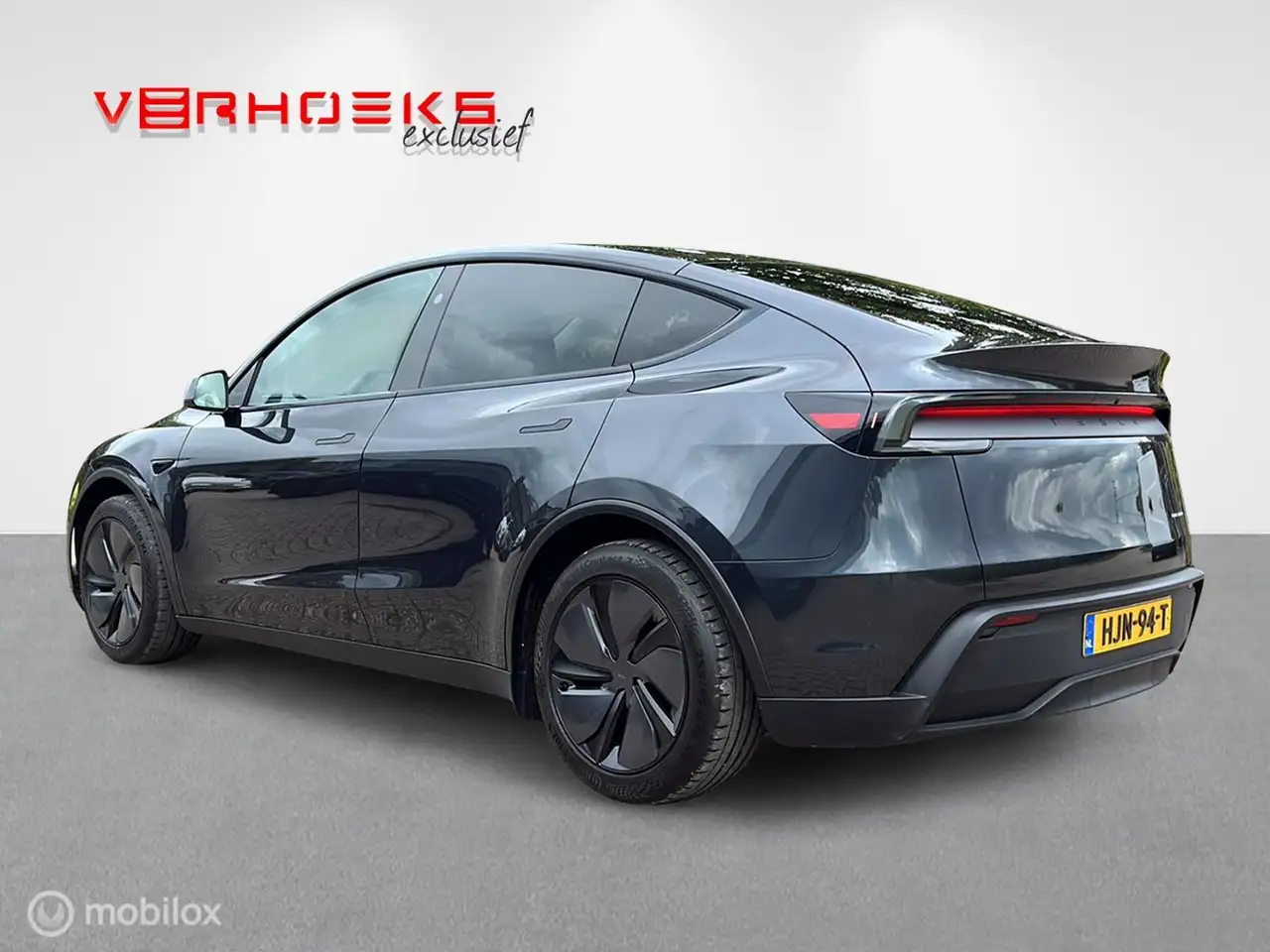 Tesla Model Y Premium Long Range Dual Motor, миниатюра 2