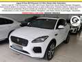 Jaguar E-Pace R-Dynamic SE Navi Camera Tetto C.20" LED Bianco - thumbnail 1