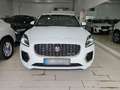 Jaguar E-Pace R-Dynamic SE Navi Camera Tetto C.20" LED Bianco - thumbnail 2