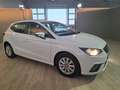 SEAT Ibiza Ibiza V 2017 1.6 tdi Reference 80cv Bianco - thumbnail 7