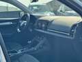 Skoda Karoq 2.0 TDI EVO SCR 115 CV DSG Executive PROMO VFG Al Argent - thumbnail 23