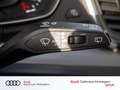 Audi Q5 35TDI quattro LED NAVI B&O STANDHZ Grigio - thumbnail 16