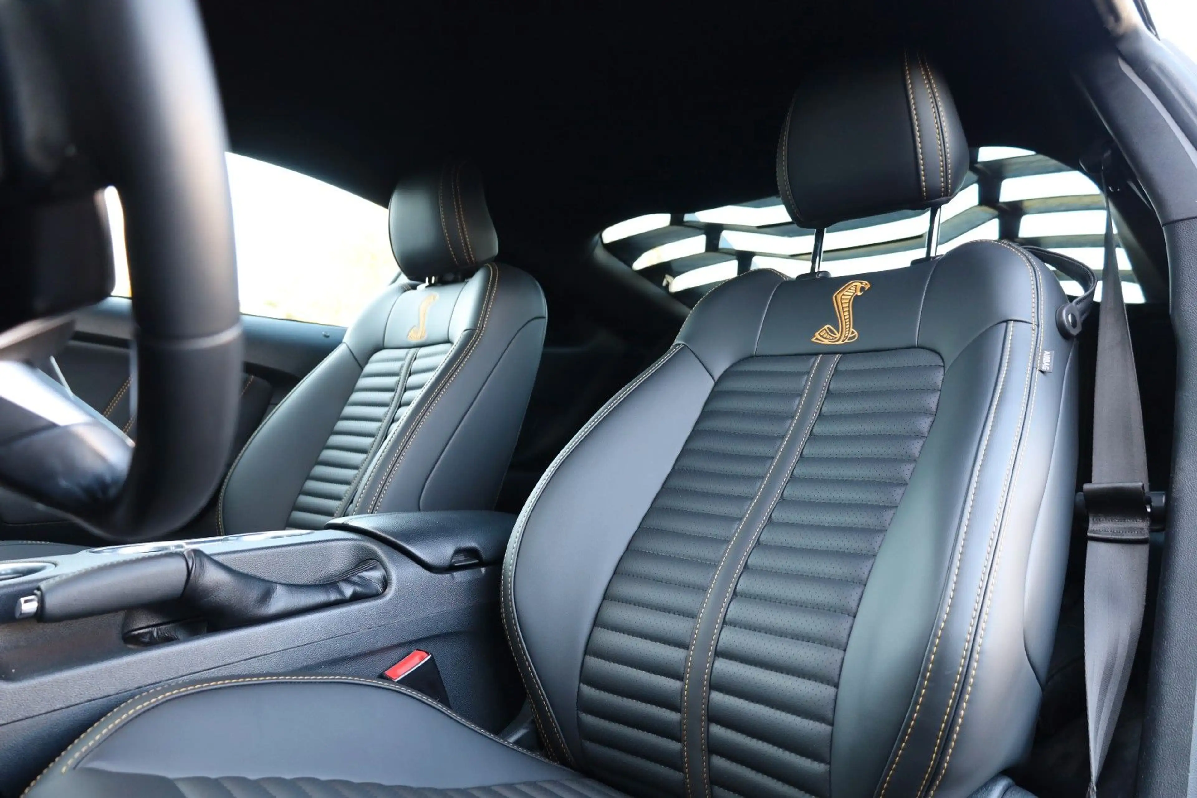 Ford Mustang 5.0 V8 GT/KAMERA/TOTW/SPUR/LED/BTH/R20 — photo 11