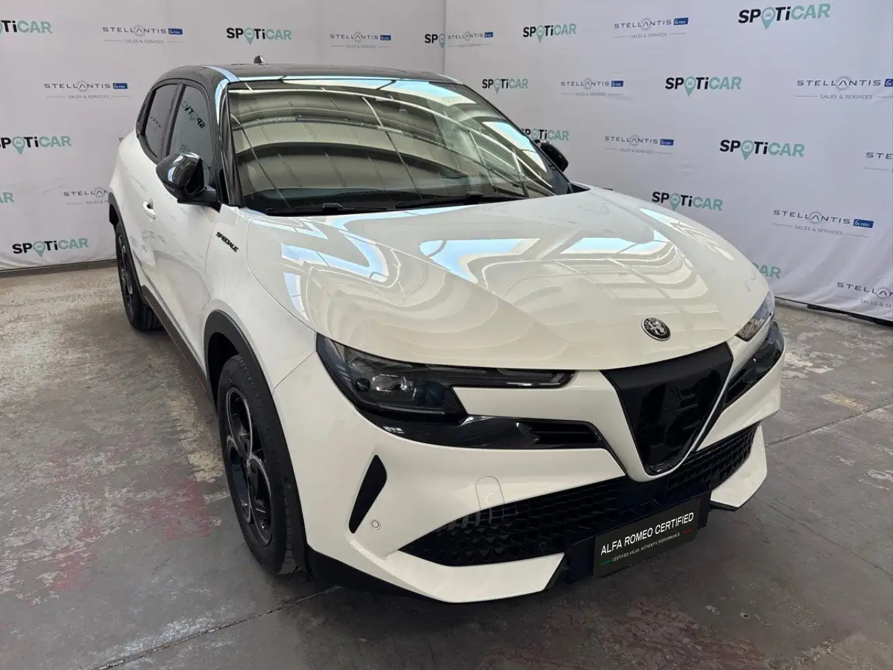 Alfa Romeo Junior 2025