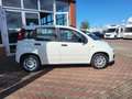 Fiat Panda Easy 1.2 8V Wit - thumbnail 6