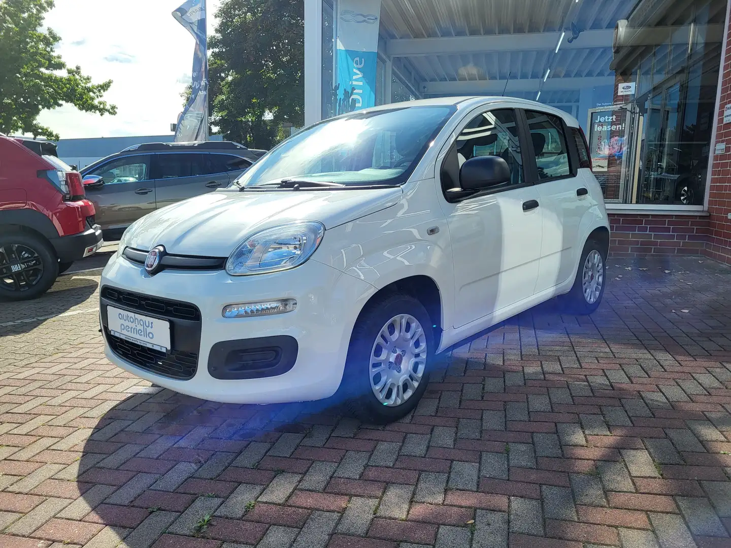 Fiat Panda Easy 1.2 8V Wit - 2