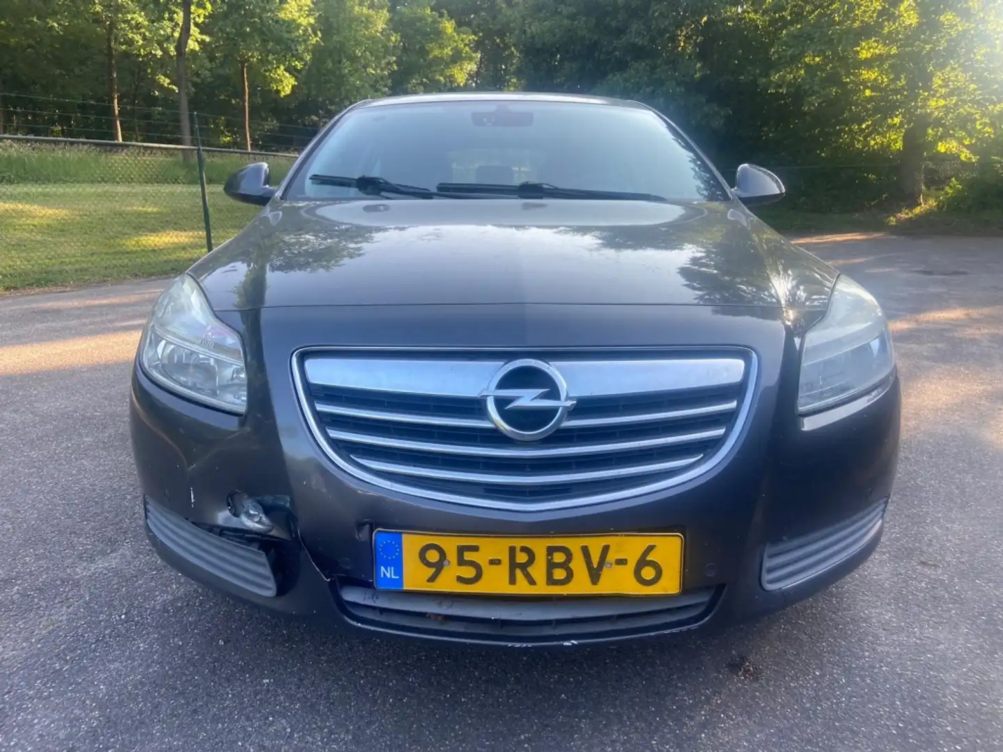 Opel Insignia 2.0 CDTI EcoF. Edit. Grijs - 2