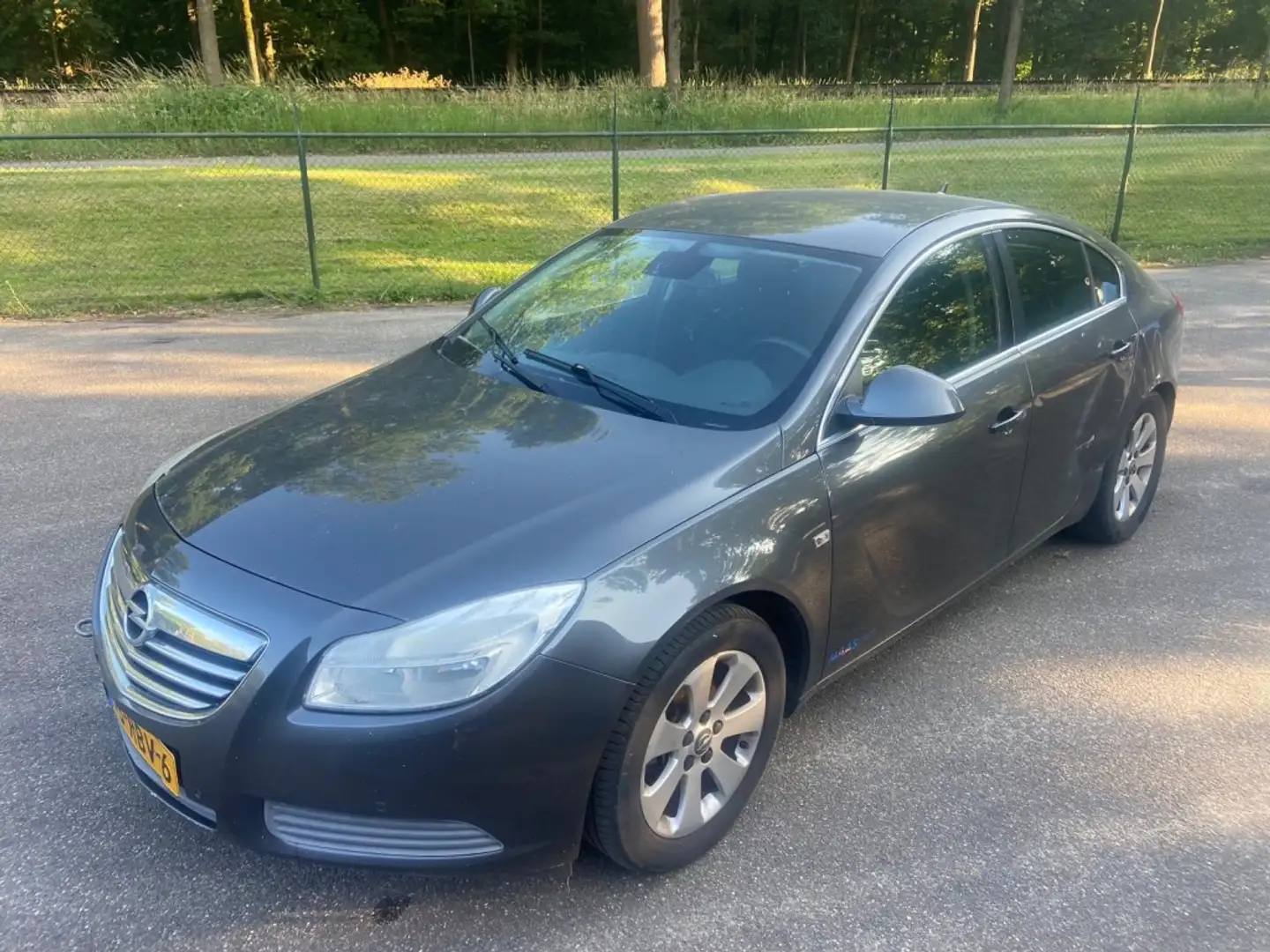 Opel Insignia 2.0 CDTI EcoF. Edit. Grijs - 1