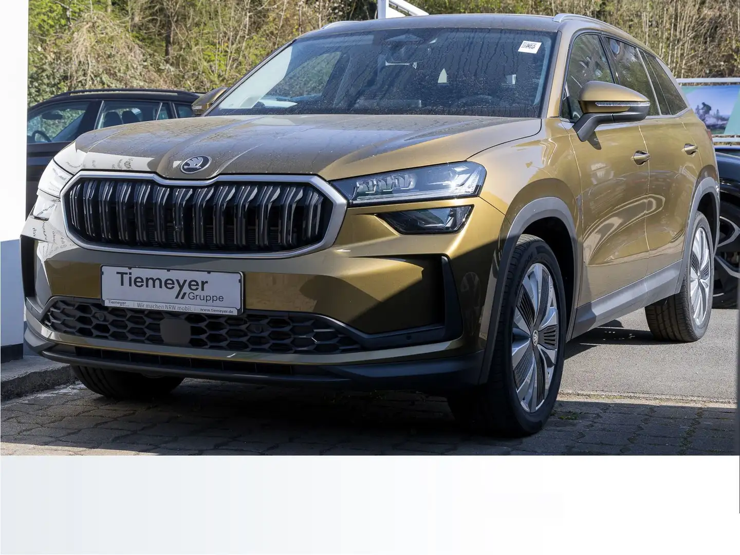 Skoda Kodiaq 1.5 TSI DSG SELECTION LOUNGE LM19 NAVI KA Золотий - 2