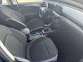 Ford Focus 1.5 TDCI AppLink.DAB.LED.Navi.PDC.1-Hand Schwarz - thumbnail 13