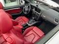Audi A5 A5 Cabrio Cabrio 2.0 TFSI quattro S tronic Blanc - thumbnail 4