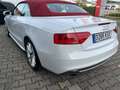 Audi A5 A5 Cabrio Cabrio 2.0 TFSI quattro S tronic Blanc - thumbnail 14