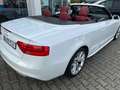 Audi A5 A5 Cabrio Cabrio 2.0 TFSI quattro S tronic Blanc - thumbnail 5