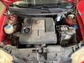 SEAT Ibiza Reference Rot - thumbnail 7