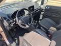 Ford EcoSport EcoSport 1.0 ecoboost Titanium 125cv OTTIMO Bronzo - thumbnail 6