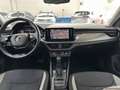 Skoda Kamiq 1.0 TSI 110 CV DSG Style Grigio - thumbnail 13
