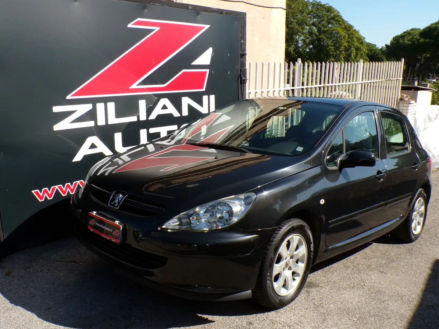 Peugeot 307 5p 1.6 16v ..QUALSIASI PROVA.. Gris - 1