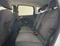 Ford C-Max C-Max 1.5 tdci Titanium Bianco - thumbnail 10