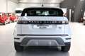 Land Rover Range Rover Evoque 2.0D I4 163 CV AWD Auto S- IVA ESPOSTA Bianco - thumbnail 5