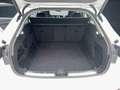 Audi A5 Avant TFSI 110 kW S tronic ACC AUT Kam. LM Weiß - thumbnail 14