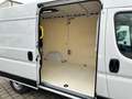 Fiat Ducato Hochr.-Kasten 33 120 L2H2 RS: 3450 mm Alb - thumbnail 8
