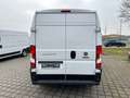 Fiat Ducato Hochr.-Kasten 33 120 L2H2 RS: 3450 mm Alb - thumbnail 6