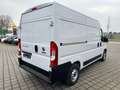 Fiat Ducato Hochr.-Kasten 33 120 L2H2 RS: 3450 mm Alb - thumbnail 3
