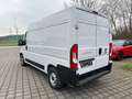 Fiat Ducato Hochr.-Kasten 33 120 L2H2 RS: 3450 mm Alb - thumbnail 4