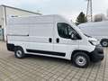 Fiat Ducato Hochr.-Kasten 33 120 L2H2 RS: 3450 mm Alb - thumbnail 7
