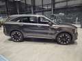 Kia Sorento 2,2 CRDi SCR AWD Platin DCT Grau - thumbnail 3