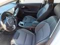 Kia Niro Gold e-Niro Weiß - thumbnail 9