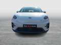 Kia Niro Gold e-Niro Weiß - thumbnail 8