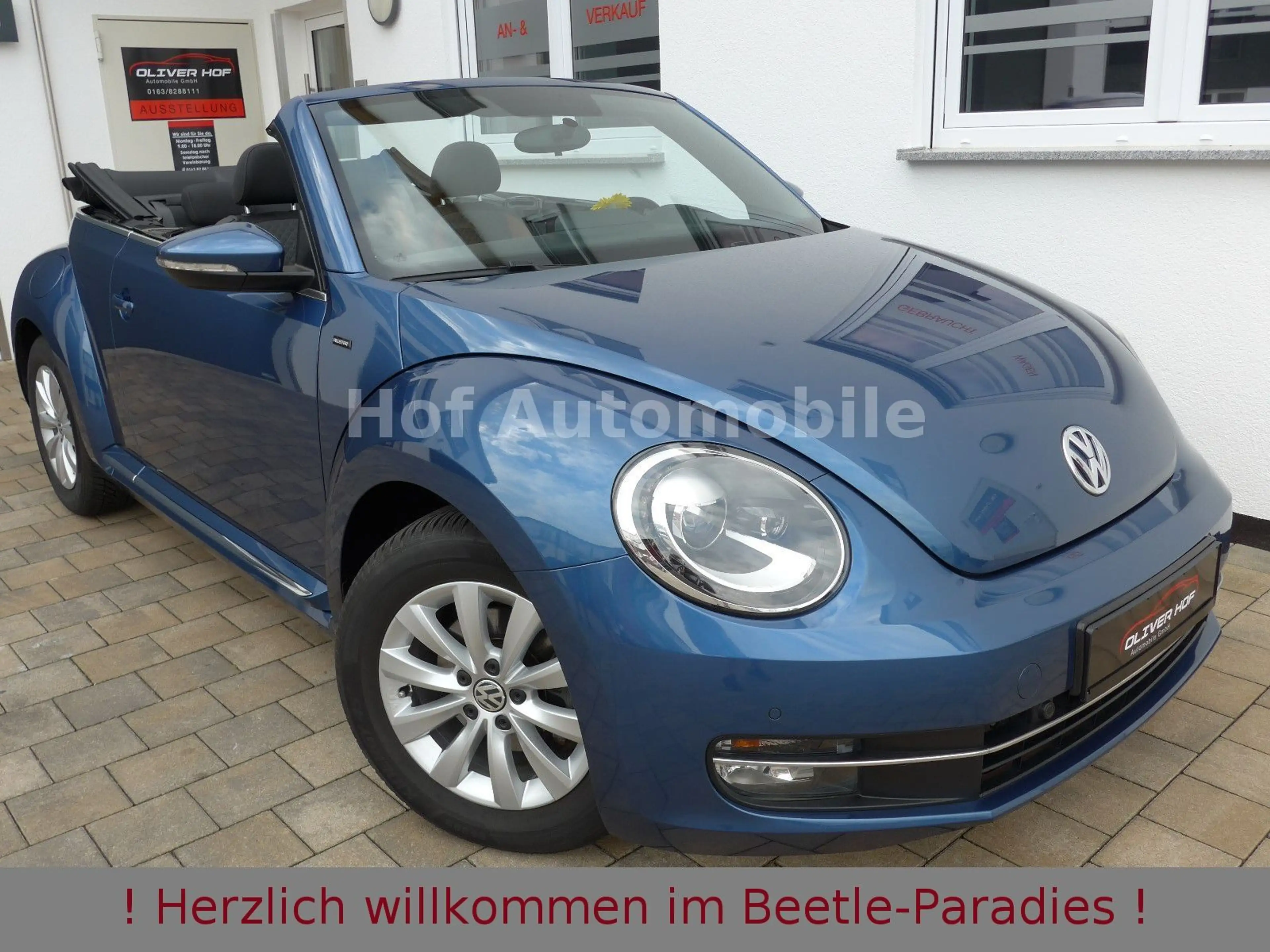 Volkswagen Beetle 1.2TSI Allstar Xenon Kamera Allwetter