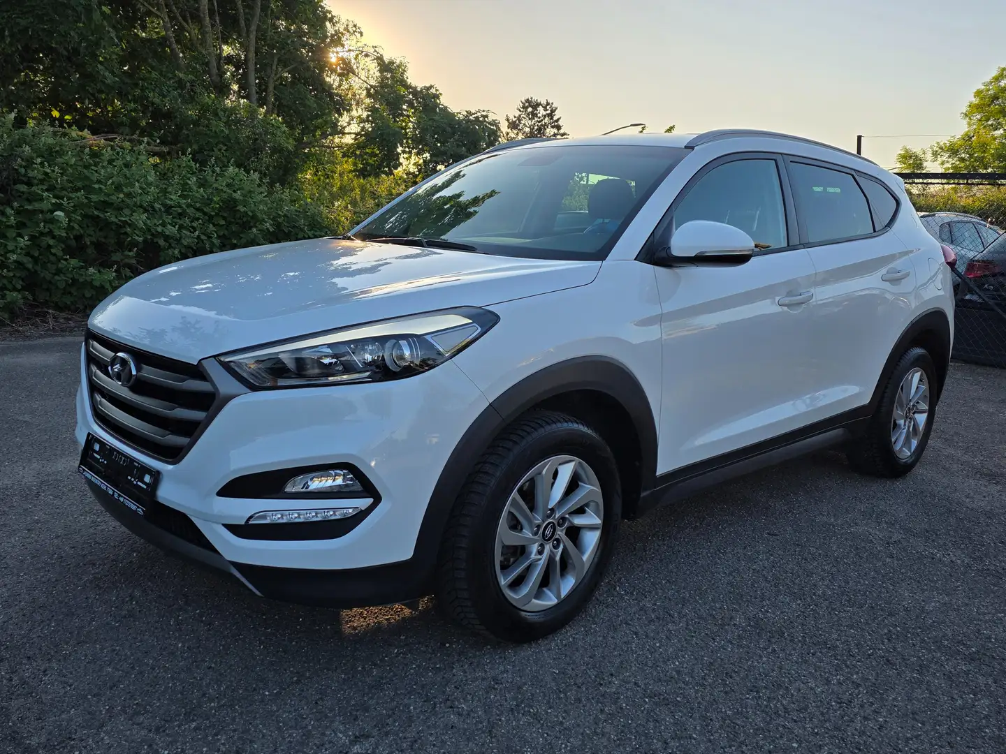 Hyundai TUCSON 1.7 CRDI LED Parksystem blue Classic 2WD Tempomat Bianco - 1
