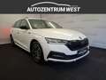 Skoda Octavia Combi 2,0 TDI *Sportline*...AHK/Kamera/Navi/SHZ Weiß - thumbnail 5