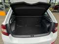 Skoda Rapid/Spaceback 1.0 TSI Greentech Clever - camera - panoramadak - Blanc - thumbnail 26