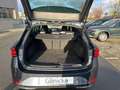 SEAT Leon ST FR 1.5 eTSI DSG, RFK, NAVI Grau - thumbnail 16