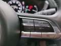 Mazda MX-30 Klimaaut.|NAVI|LED|SHZ|CarPlay|Bluetooth Blanc - thumbnail 21