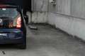 Volkswagen up! 1.0 2014 | Cheer Up | 5-DRS 75PK Luxe VOL Azul - thumbnail 17