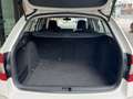 Skoda Octavia Combi 1.6TDI CR Ambition Blanco - thumbnail 44