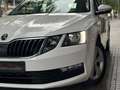 Skoda Octavia Combi 1.6TDI CR Ambition Blanco - thumbnail 48