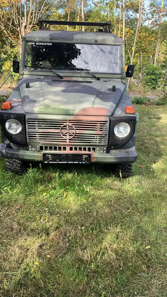 Mercedes-Benz G 250 Wolf W461.4, foto 2