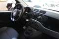 Fiat Panda Panda 1.2 Easy Grigio - thumbnail 8