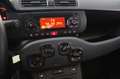 Fiat Panda Panda 1.2 Easy Grigio - thumbnail 11