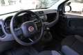 Fiat Panda Panda 1.2 Easy Grigio - thumbnail 7