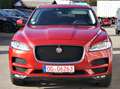 Jaguar F-Pace F-Pace 20d Aut. Prestige LEDER/NAVI/PANO/MERIDIAN Rot - thumbnail 3