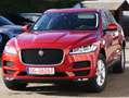 Jaguar F-Pace F-Pace 20d Aut. Prestige LEDER/NAVI/PANO/MERIDIAN Rot - thumbnail 2