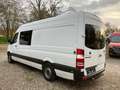 Mercedes-Benz Sprinter316CDI Maxi Mixto Klim.StandheizAHK3,5To Weiß - thumbnail 5